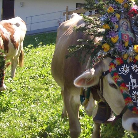 Hotel Gasthof Jaeger Zillertal シュリッタース エクステリア 写真